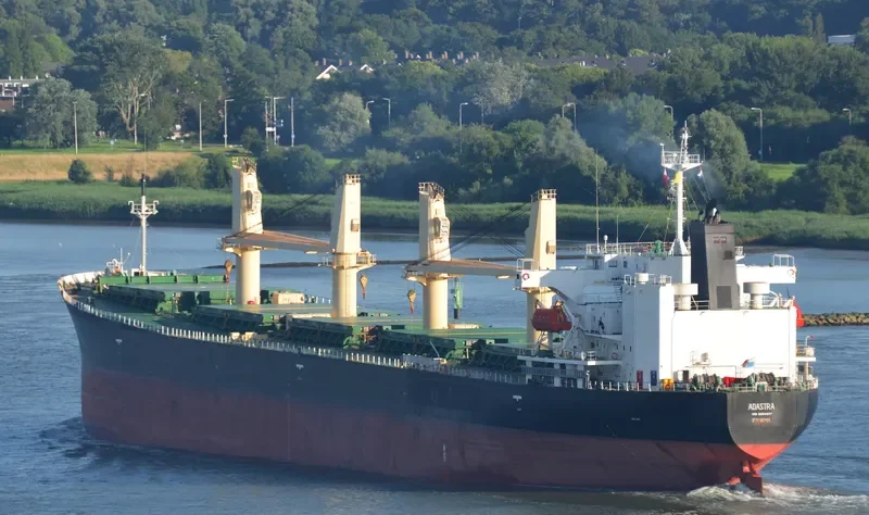 ADASTRA Bulk Carrier IMO 9258557 photo 6