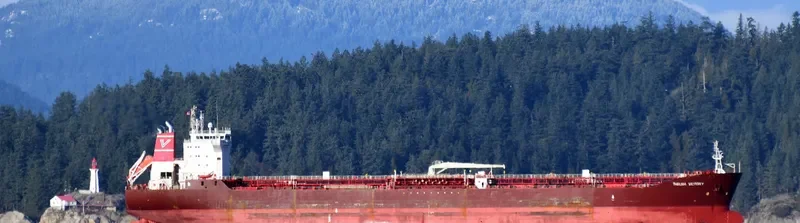 THELMA VICTORY Tanker IMO 9258612 photo 2
