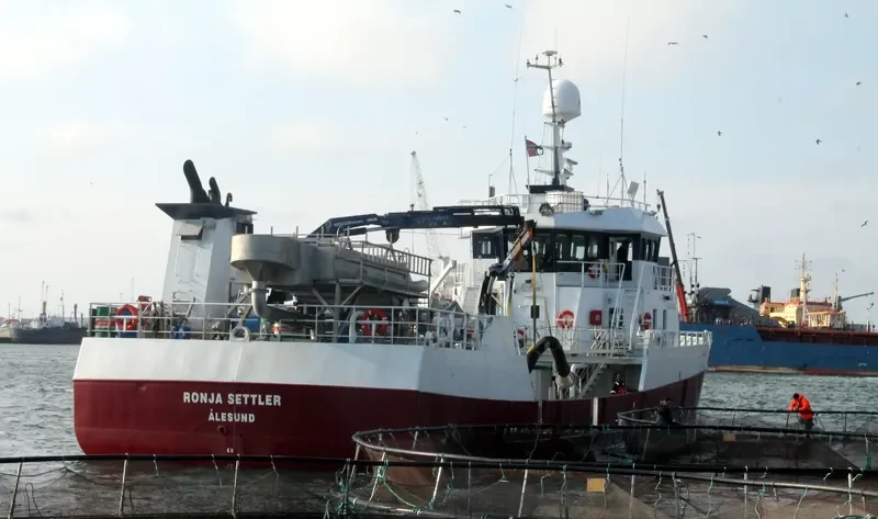 SETTLER General Cargo IMO 9258703 photo 7