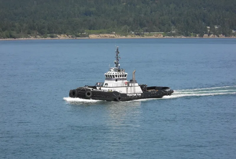 MILLENNIUM DAWN General Cargo IMO 9258791 photo 2