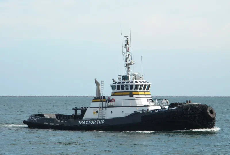 MILLENNIUM DAWN General Cargo IMO 9258791 photo 10