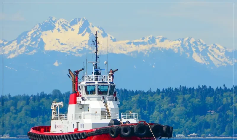 RESPONSE General Cargo IMO 9258806