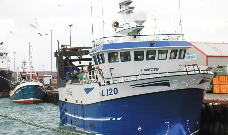 LINETTE General Cargo IMO 9259135 photo 3