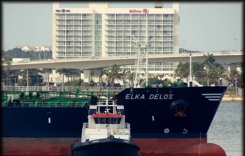 ELKA DELOS Tanker IMO 9259290 photo 7