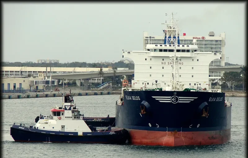 ELKA DELOS Tanker IMO 9259290 photo 8