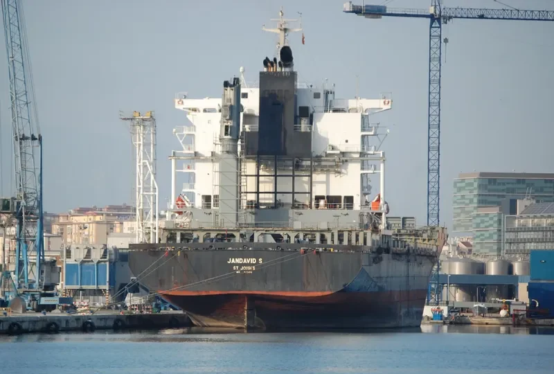 TANTO NUSANTARA Container Ship IMO 9259381 photo 8
