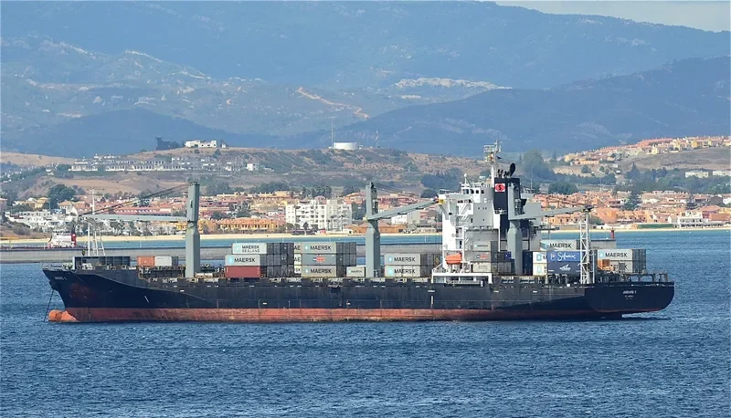 TANTO NUSANTARA Container Ship IMO 9259381 photo 9