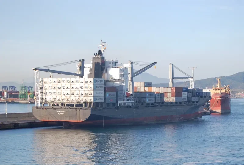 TANTO NUSANTARA Container Ship IMO 9259381 photo 10