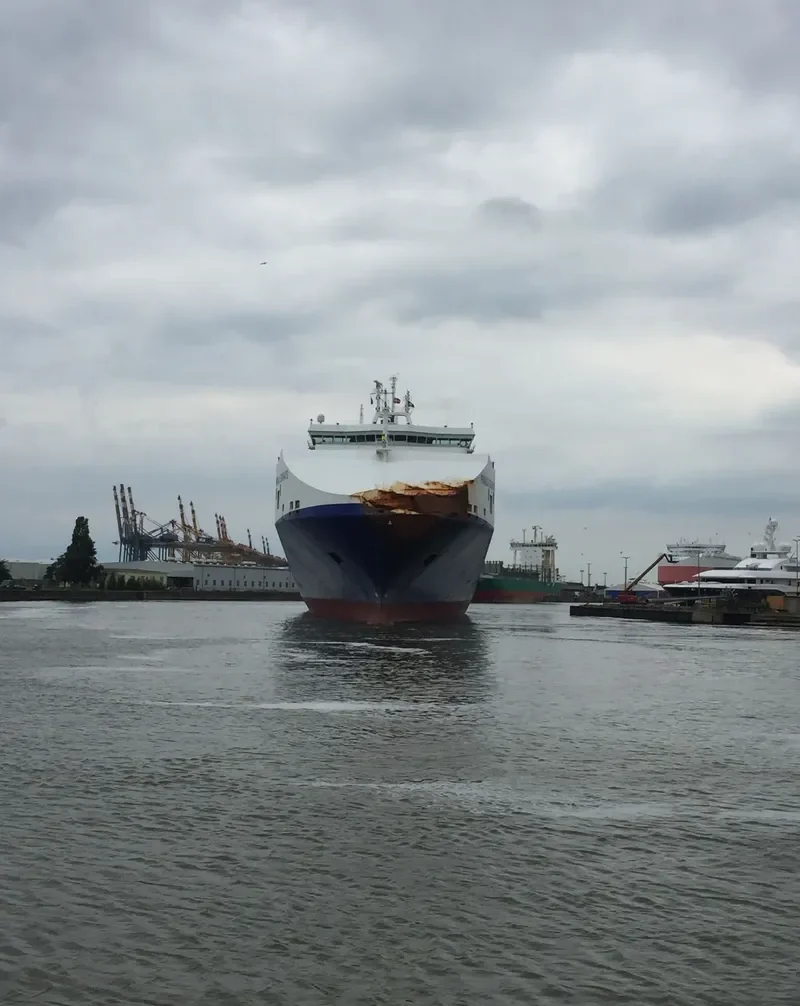 PRIMULA SEAWAYS Ro-Ro IMO 9259513