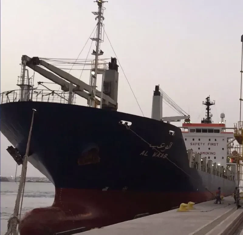 MOHSEN ILYAS Container Ship IMO 9259642