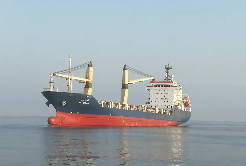 MOHSEN ILYAS Container Ship IMO 9259642 photo 5