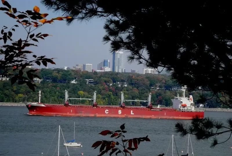 FERBEC Bulk Carrier IMO 9259848
