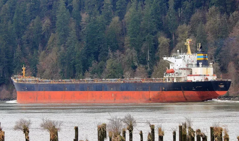 ZHONG MENG HANG LIAN Bulk Carrier IMO 9260122