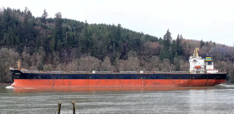 ZHONG MENG HANG LIAN Bulk Carrier IMO 9260122 photo 2