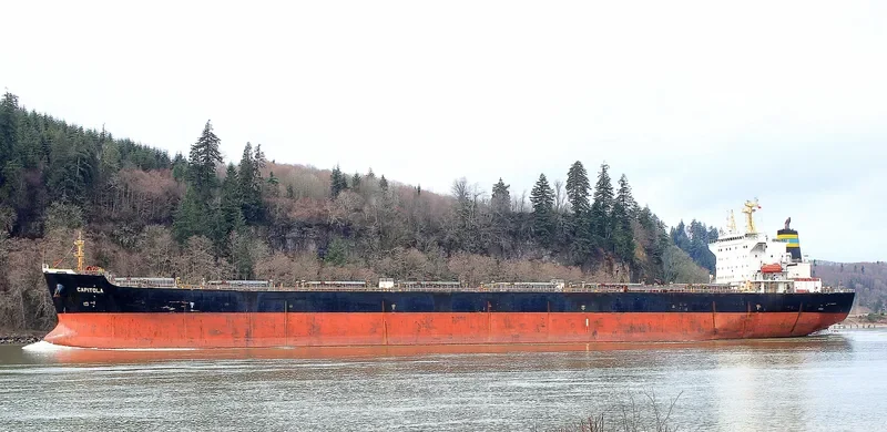 ZHONG MENG HANG LIAN Bulk Carrier IMO 9260122 photo 3