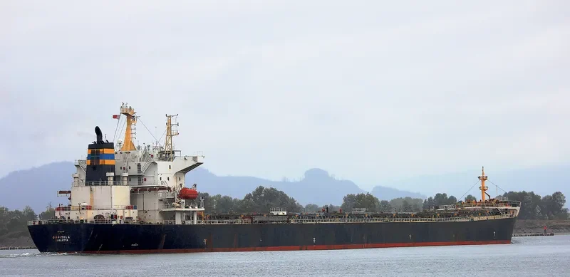 ZHONG MENG HANG LIAN Bulk Carrier IMO 9260122 photo 4