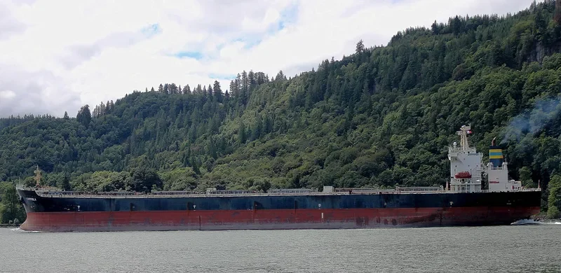 ZHONG MENG HANG LIAN Bulk Carrier IMO 9260122 photo 6