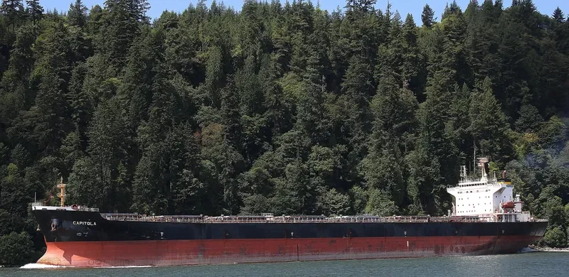 ZHONG MENG HANG LIAN Bulk Carrier IMO 9260122 photo 7