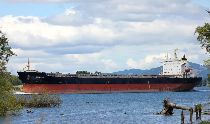 ZHONG MENG HANG LIAN Bulk Carrier IMO 9260122 photo 8
