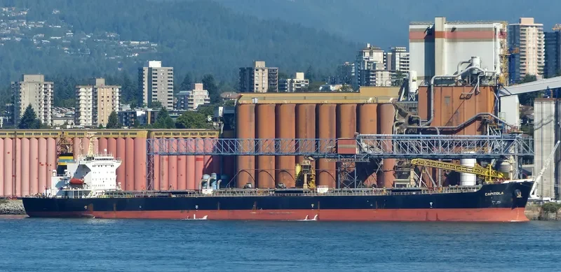 ZHONG MENG HANG LIAN Bulk Carrier IMO 9260122 photo 9