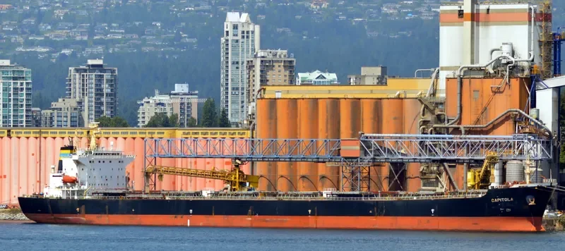 ZHONG MENG HANG LIAN Bulk Carrier IMO 9260122 photo 10