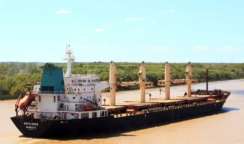 PLATAMON Bulk Carrier IMO 9260146 photo 2