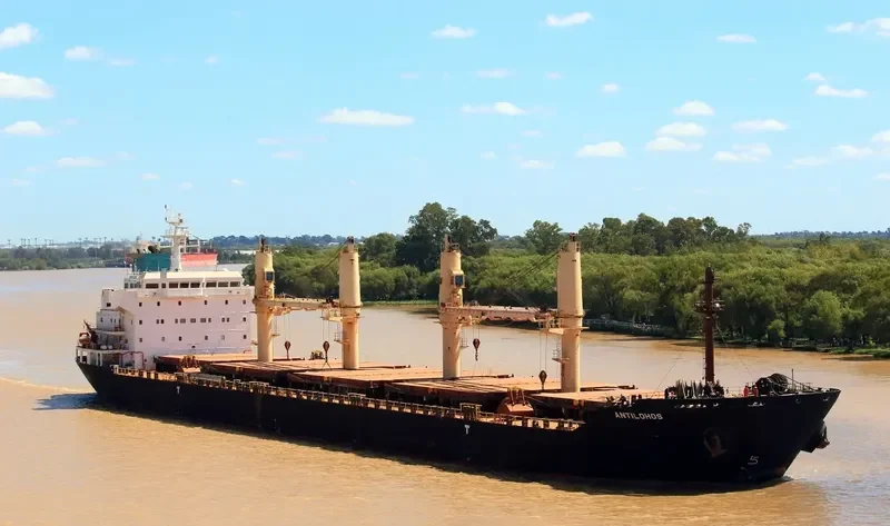 PLATAMON Bulk Carrier IMO 9260146 photo 3