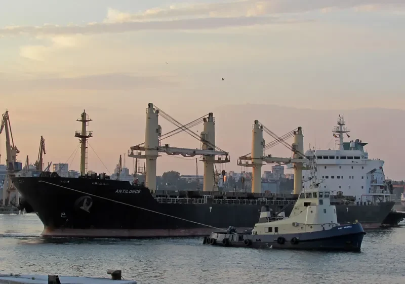 PLATAMON Bulk Carrier IMO 9260146 photo 5