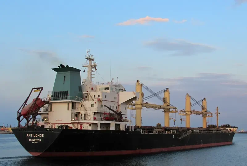 PLATAMON Bulk Carrier IMO 9260146 photo 6