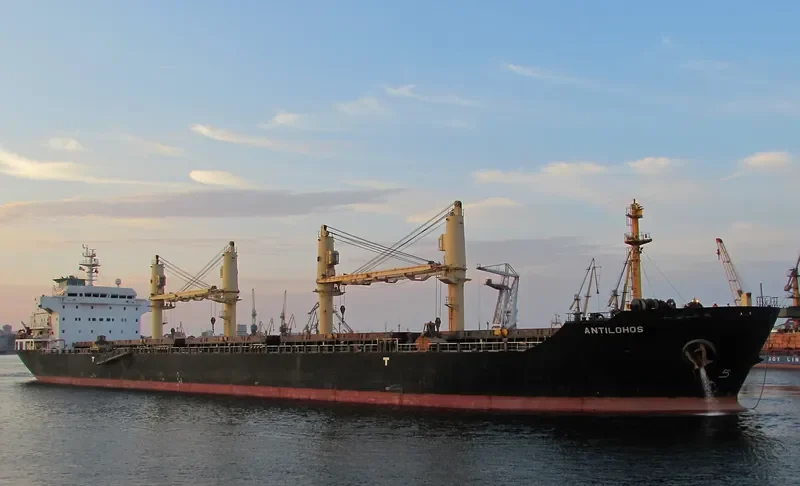 PLATAMON Bulk Carrier IMO 9260146 photo 7