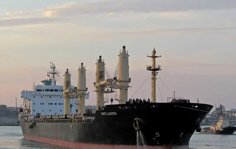 PLATAMON Bulk Carrier IMO 9260146 photo 8