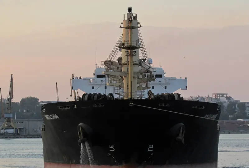 PLATAMON Bulk Carrier IMO 9260146 photo 9