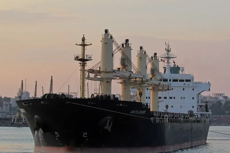 PLATAMON Bulk Carrier IMO 9260146 photo 10