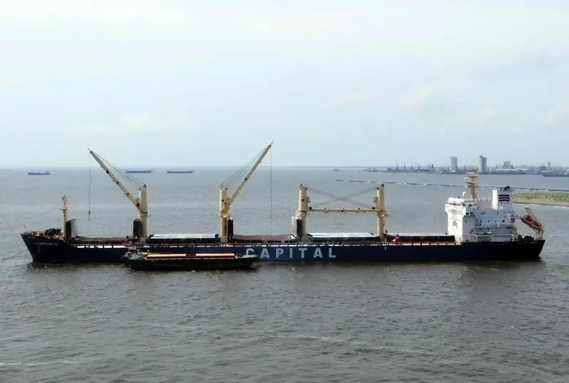 LAVRIO Bulk Carrier IMO 9260158 photo 2