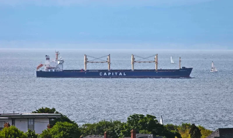 LAVRIO Bulk Carrier IMO 9260158 photo 5
