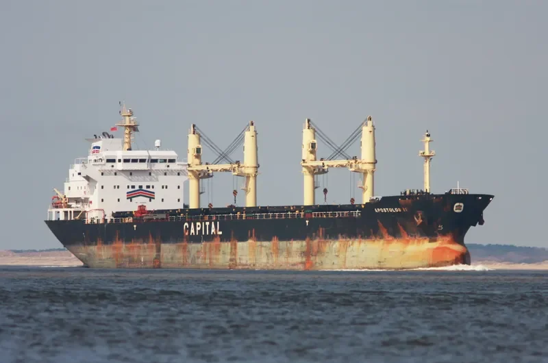 LAVRIO Bulk Carrier IMO 9260158 photo 9