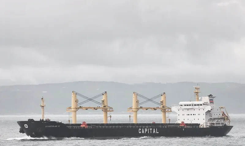 LAVRIO Bulk Carrier IMO 9260158 photo 10