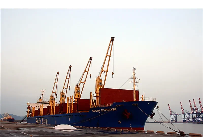 WAN HONG Bulk Carrier IMO 9260304 photo 5