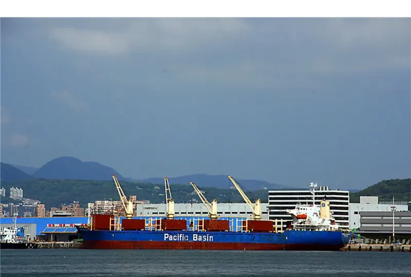 WAN HONG Bulk Carrier IMO 9260304 photo 6