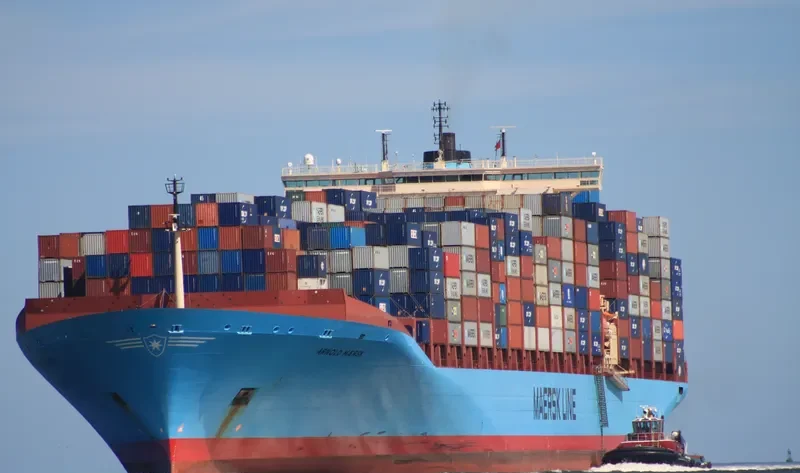 ARNOLD MAERSK Container Ship IMO 9260433 photo 29