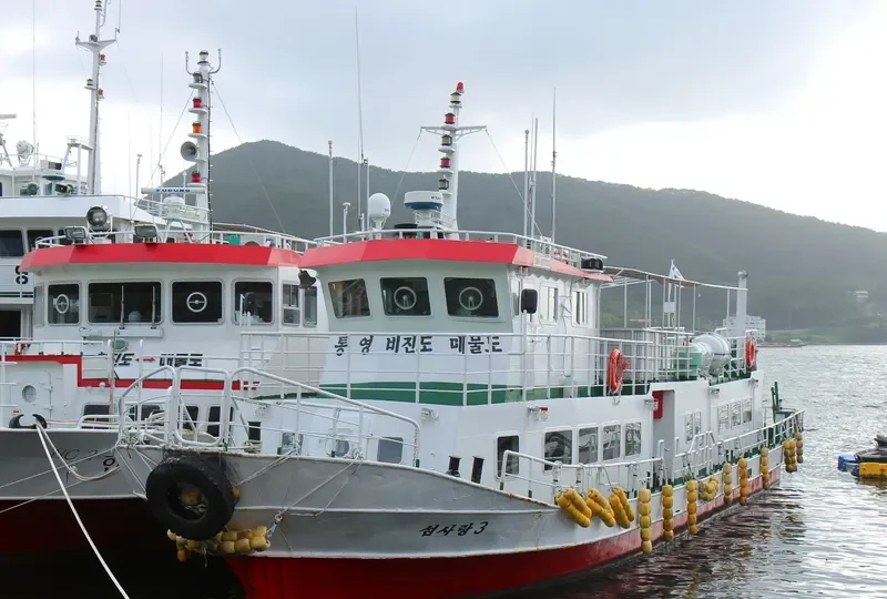 SEOMSARANG NO.3 Passenger Ship IMO 9260512