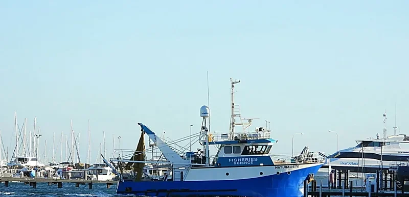 NATURALISTE General Cargo IMO 9260598 photo 2