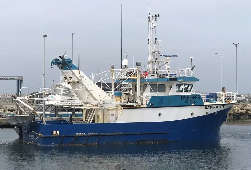 NATURALISTE General Cargo IMO 9260598 photo 3