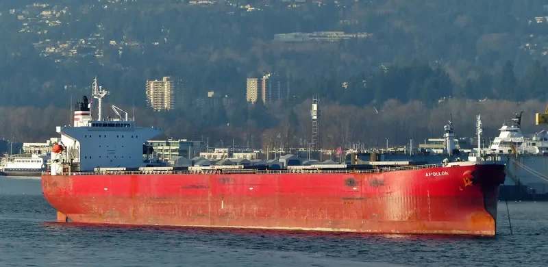 APOLLON Bulk Carrier IMO 9260615 photo 3