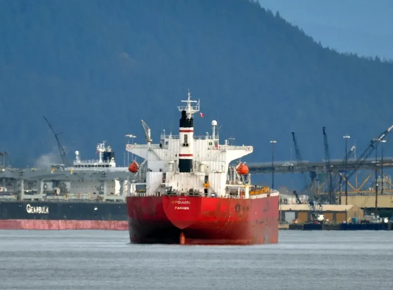 APOLLON Bulk Carrier IMO 9260615 photo 5