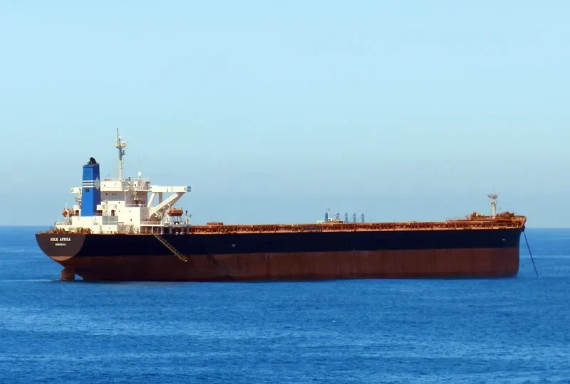 SEACON BRAZIL Bulk Carrier IMO 9260639 photo 2