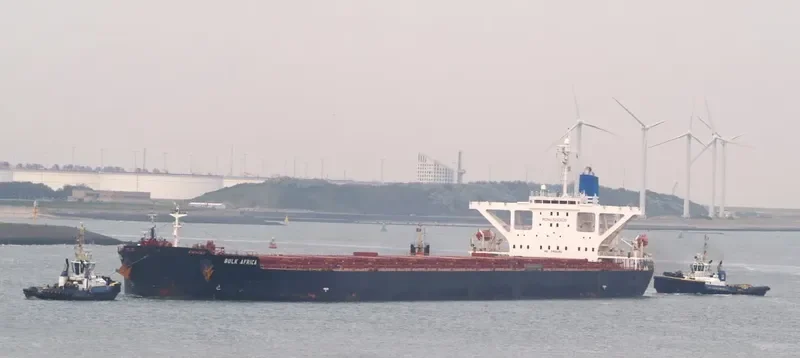SEACON BRAZIL Bulk Carrier IMO 9260639 photo 7