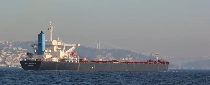 NEW LEONIDAS Bulk Carrier IMO 9260641 photo 3