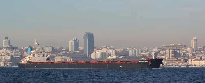 NEW LEONIDAS Bulk Carrier IMO 9260641 photo 4