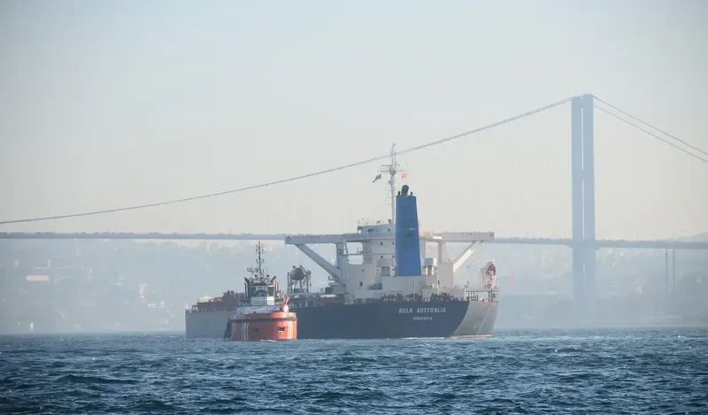 NEW LEONIDAS Bulk Carrier IMO 9260641 photo 5